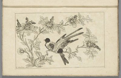 花の枝に 2 羽の鳥 中国の花鳥（連載タイトル） 作： ピーター・シェンク（II）