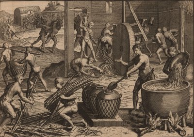 奴隷はサトウキビを加工して砂糖を作る。 作： Pieter Van der Aa