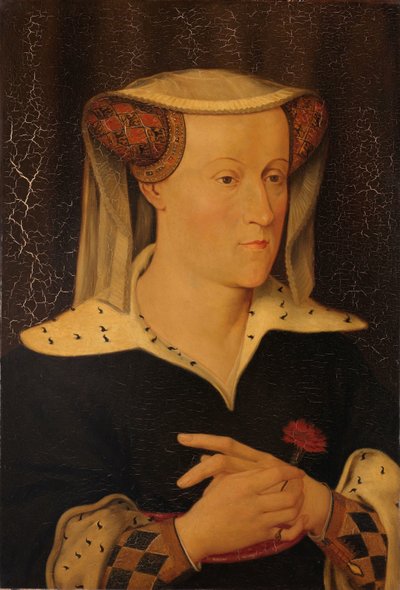 バイエルンのヤコバ (1401-1436)、オランダとジーランドの伯爵夫人 作： Pieter Willem Sebes