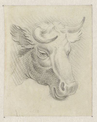 牛の頭 作： Pieter de Goeje