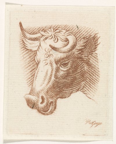 雄牛の頭 作： Pieter de Goeje
