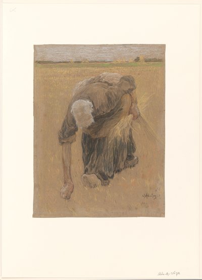 鷲読みの女 作： Pieter de Josselin