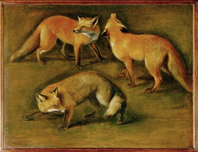 キツネ（キャンバスに描かれた絵） 作： ピーターまたはピーター・ボエル