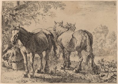 野原にいる 3 頭の馬 作： Pieter van Laer
