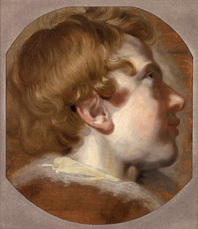 少年の頭、1620年代（紙に油彩） 作： Pieter van Mol