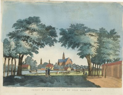 Overveen からのハーレムの眺め Haarlem の街の Overveen による Gezigt (オブジェクトのタイトル) 作： Pieter van der Meulen