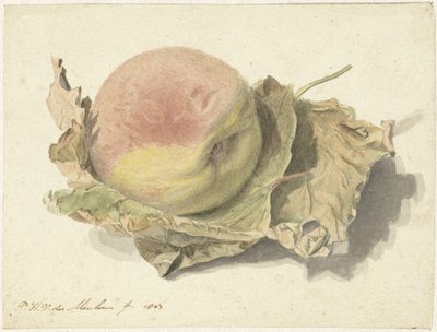 二葉の桃 作： Pieter van der Meulen
