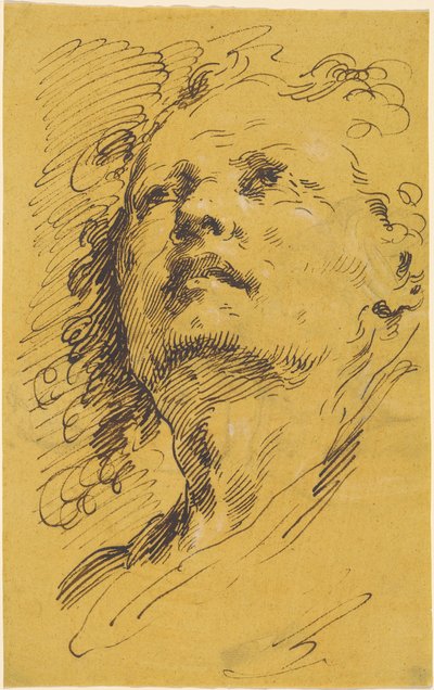 見上げる男の頭 作： Pietro Antonio Novelli