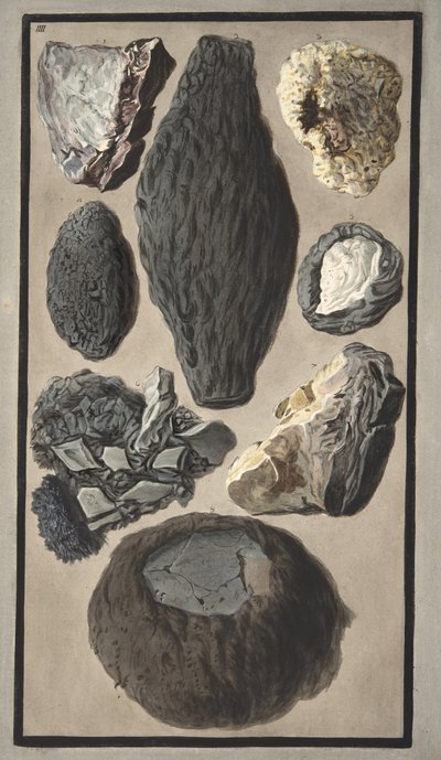 ウィリアムハミルトン卿（1730-1803）による「カンピフレグレイ：2つのシチリアの火山に関する観測」からの火山物質の標本、1776年に出版（手書きの彫刻） 作： Pietro Fabris