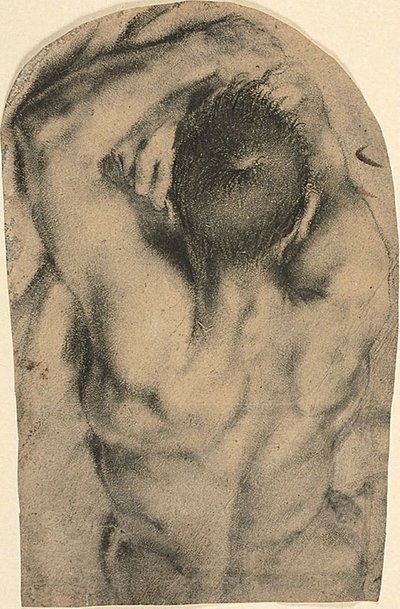 後ろから見た半身臥位の男性裸婦、1590年頃（木炭、油絵具のタッチと鉛白の痕跡、紙） 作： Pietro Faccini