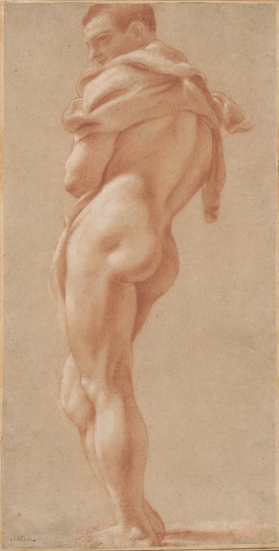 後ろから見た立っている男性ヌード 作： Pietro Faccini