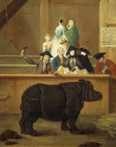 サイの展覧会 作： Pietro Longhi