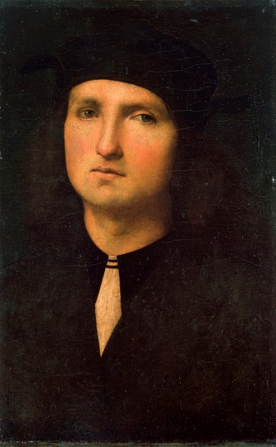 1495年から1500年の青年の肖像。 作： Pietro Perugino