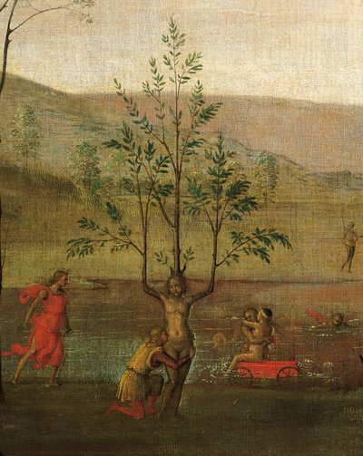 愛と貞操の葛藤」の木の女、ディテール 作： Pietro Perugino