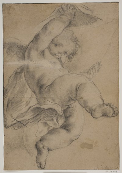 Flying putto カーテンを持ち上げる 作： Pietro da Cortona
