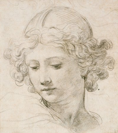 左を見下ろす天使の頭 作： Pietro da Cortona
