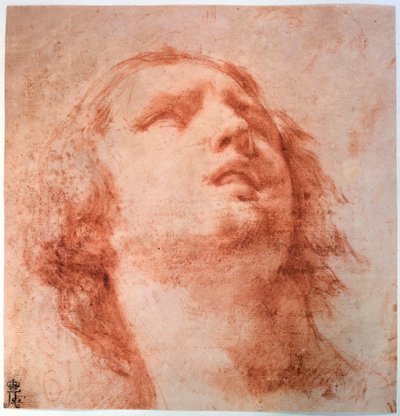 17世紀を見上げる女性の頭部研究 作： Pietro da Cortona