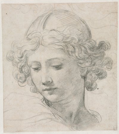 聖ミカエルの頭のための習作 作： Pietro da Cortona