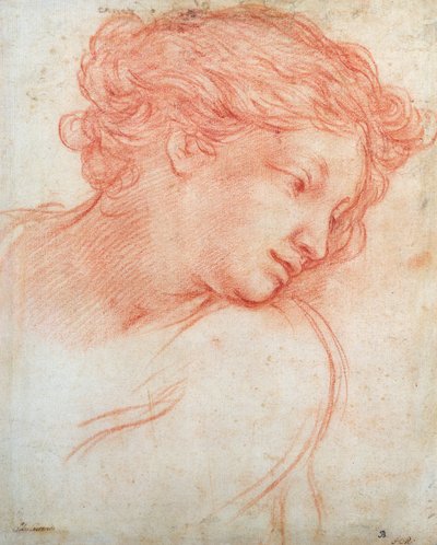 少女の頭の研究 作： Pietro da Cortona