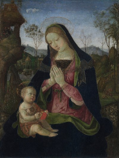 聖母子、c。 1490-1500。 作： Pintoricchio