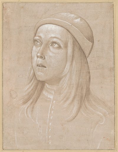 見上げる若者の頭 作： Pinturicchio