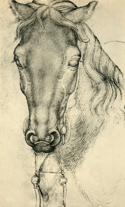馬の頭、c1420-1455、1943年。 作： Antonio Pisanello