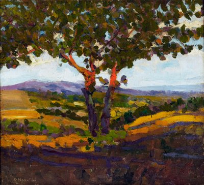 太陽の挨拶、1902 作： Plinio Nomellini