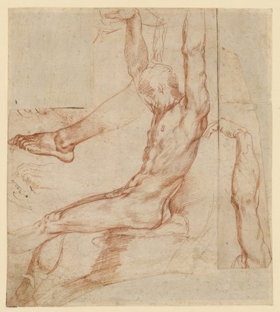 様々なスケッチによる男性の習作（レクト）；男性の垂れた脚の習作（裏面） 作： Polidoro da Caravaggio (Polidoro Caldara)