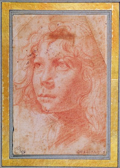 少年の頭が左を向いた（紙に赤いチョーク） 作： Polidoro da Caravaggio