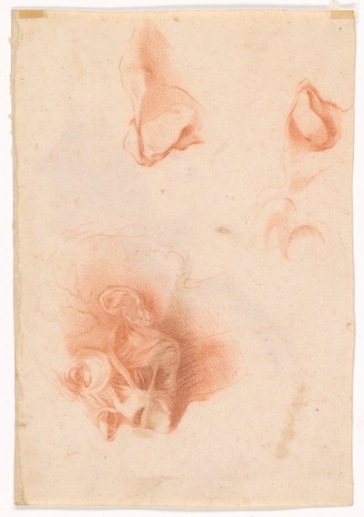 男性の頭、横顔の顔 (直腸); 解剖学的研究、横顔の顔 (裏面) 作： Pompeo Girolamo Batoni
