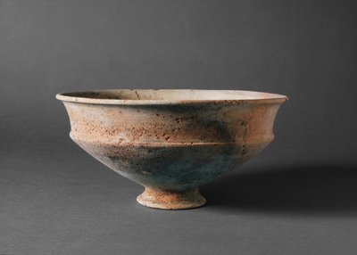 次のアーティストによるアート作品 Prehistoric