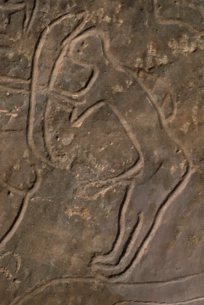 人物像と雄牛の頭（岩の彫刻） 作： Prehistoric
