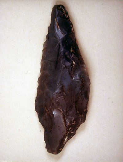 矢印の先はフリントです。ヴァレーズミラノの考古学博物館 作： Prehistoric Prehistoric