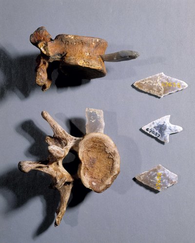 先史時代の骨が入った火打ち石（国立古代博物館蔵 作： Prehistoric Prehistoric