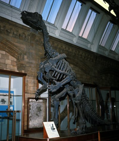 イグアノドン 作： Prehistoric Prehistoric