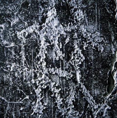 交尾シーン。カモニカ渓谷の先史時代のグラフィティ、フォッペ・ディ・ナルド。 作： Prehistoric Prehistoric