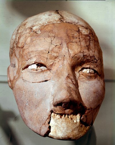 新石器時代の美術品：石器時代（紀元前6000〜4000年）の人間の頭蓋骨。ヨルダン、アンマンの考古学博物館、ジェリコより 作： Prehistoric Prehistoric