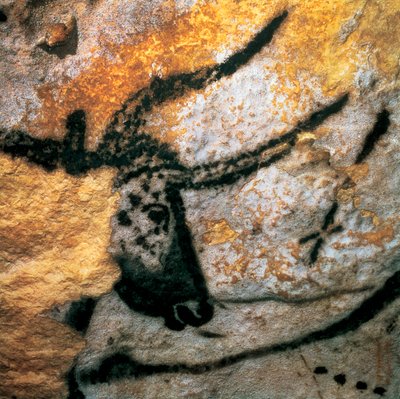 オーロックス（絶滅したウシ科の動物）を描いた頭頂部の絵、ラスコー洞窟の「雄牛の間」、フランス・ドルドーニュ地方モンティニャック、旧石器時代のマグダレニアン期（絵画 作： Prehistoric Prehistoric