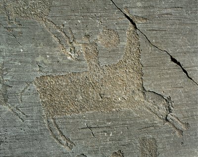 先史時代、カムンニ文明、ロックアート：盾を持った馬上の戦士を描いた墓石。新石器時代と青銅器時代の間の時代。Capo di Ponte, Parco nazionale delle incisioni rupestri di Naquane, Valcamonica, Val Camonica, Italy 作： Prehistoric Prehistoric