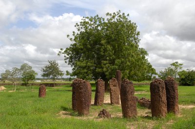 先史時代。ガンビアのワスから出土した巨石のサークル（写真 作： Prehistoric Prehistoric