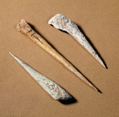先史時代：旧石器時代の骨製パーチ。サン＝ジェルマン＝アン＝レー、骨董品の博物館 作： Prehistoric Prehistoric