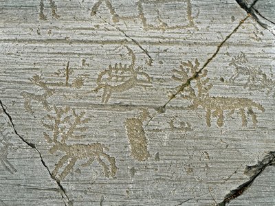 先史時代、カムニ族の文明、ロックアート：鹿の表現の墓石。新石器時代と青銅器時代の間の時代。岩。1.Capo di Ponte, Parco nazionale delle incisioni rupestri di Naquane, Valcamonica, Val Camonica, Italy 作： Prehistoric Prehistoric