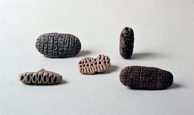 先史時代：Caverna Delle AreneからCandide（リグーリア州）までの新石器時代のテラコッタの異なるpintaderas（シール）。ペグリ、ヴィラ・パラヴィチーニ美術館（Museo Villa Pallavicini 作： Prehistoric Prehistoric