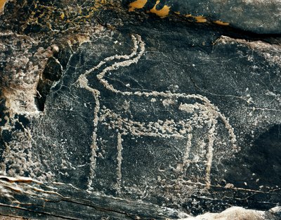 先史時代、ロックアート：アンテロープの表現の墓石。石器時代の紀元前5000-2000年。アルジェリア、ホッグガル高原（アハガル）、タギット 作： Prehistoric Prehistoric