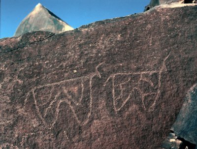 先史時代、ロックアート：牛の表現の墓石。Tazinaスタイル。石器時代紀元前5000-2000年。アルジェリア、ホッグガル高原（アハガル）、タギット 作： Prehistoric Prehistoric