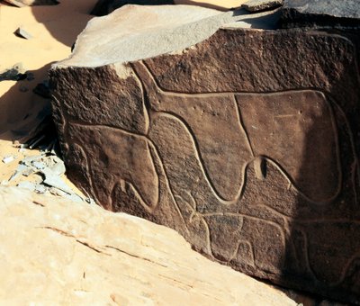 先史時代、ロックアート：牛の表現の墓石。Tazinaスタイル。石器時代紀元前5000-2000年。アルジェリア、ホッグガル高原（アハガル）、タギット 作： Prehistoric Prehistoric