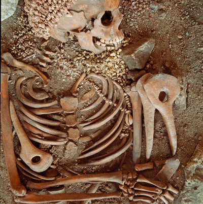 先史時代：アレーヌ・カンディードの洞窟（フィナーレ・リグレ）から出土した若い王子の骨格と10代の若者の葬儀衣装：貝殻、鹿の角、火打石のネックレス。石器時代、後期旧石器時代。ジュネ、フィナーレ・リグレ考古学博物館 作： Prehistoric Prehistoric