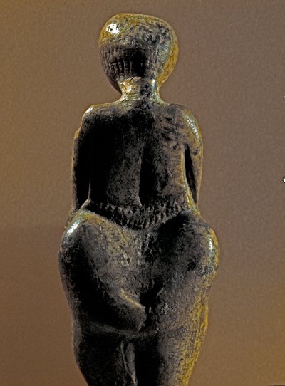 先史時代：コステンキ（ヴォロネジ州）の遺跡から出土したグラヴェット人女性の像。紀元前30000〜25000年 上層旧石器時代、石器時代。サンクトペテルブルク、ピョートル大帝人類学・民族学博物館、ロシア 作： Prehistoric Prehistoric