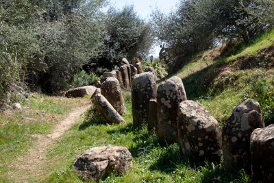 シディ・エル・ヤマニ（モロッコ）にあるクロムレク・M・ゾラの考古学的遺跡。167個のモノリスに囲まれた新石器時代の古墳（紀元前2000年）。 作： Prehistoric Prehistoric