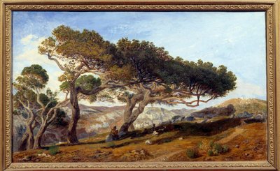 南フランスのエクス アン プロヴァンス マキ風景の田園地帯の松。 プロスパー ジョセフ グレシー (1804-1874) による絵画 19 世紀のエクス アン プロヴァンス、グラネ美術館 - エクス アン プロヴァンス周辺の田園地帯にある松の木。 マキの風景 作： Prosper Joseph Gresy